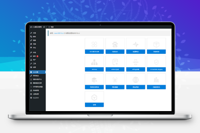 最新百度SEO合集WordPress插件+seo优化插件+快速收录+网站蜘蛛