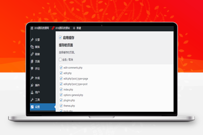 WordPress 后台缓存插件：WP Admin Cache提高缓存页面